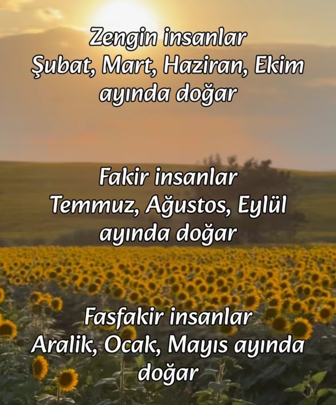 Siz hangi ayda doğdunuz?