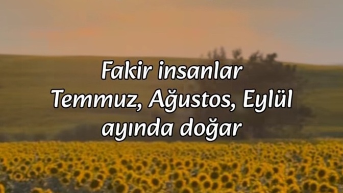 Siz hangi ayda doğdunuz?