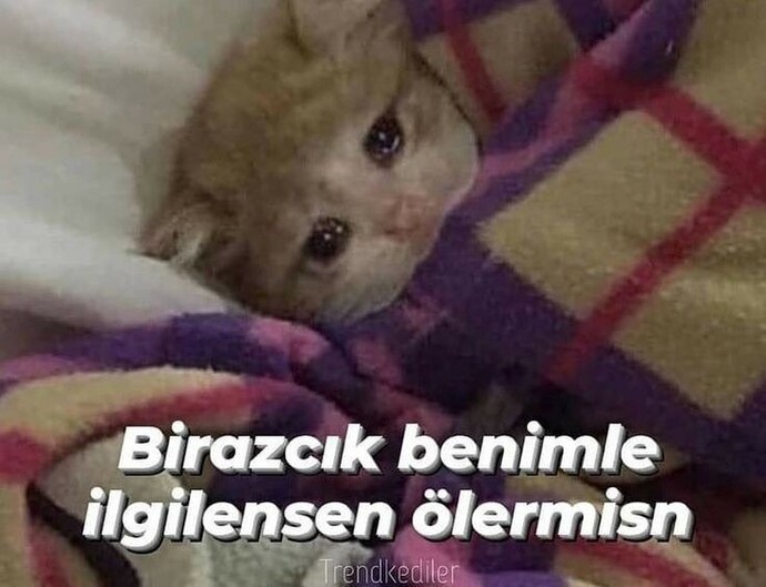 Regl oldum karnıma ara ara sancı giriyor, bana gecmiş olsun demek ister misiniz?