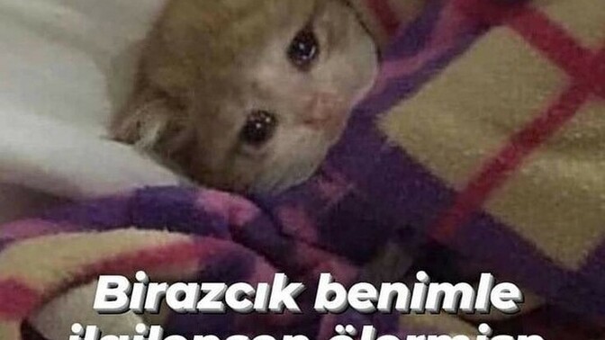 Regl oldum karnıma ara ara sancı giriyor, bana gecmiş olsun demek ister misiniz?