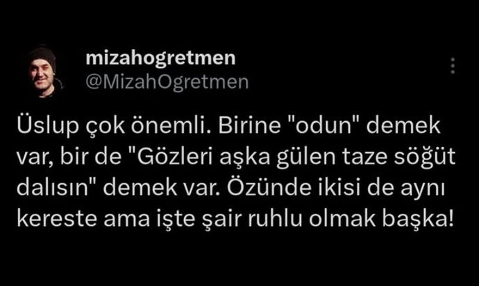 şair adamdan olmaz