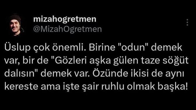 Flörtüm bana gözleri aşka gülen taze söğüt dalım derken odun mu demek istedi?
