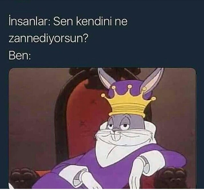 Siz kendinizi ne sanıyorsunuz?