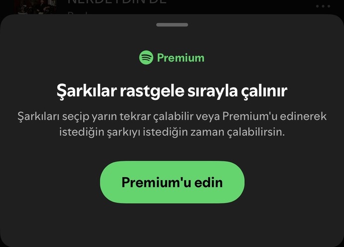 Bu sorunu yaşayan var mı?