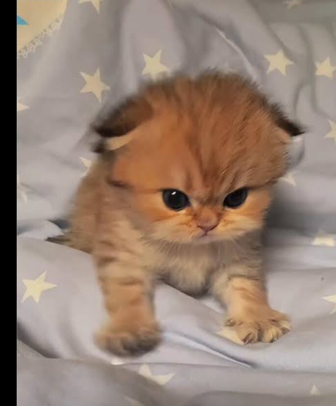 Isırmak istediğiniz biri var mı?