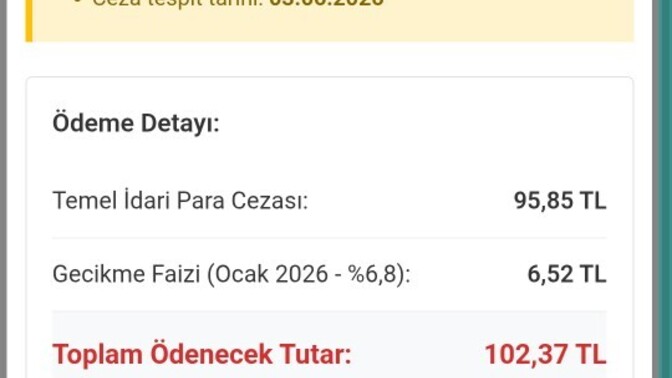 İdari para cezası nedir, gerçekten ödemek zorunda mıyım ne yapacağım?