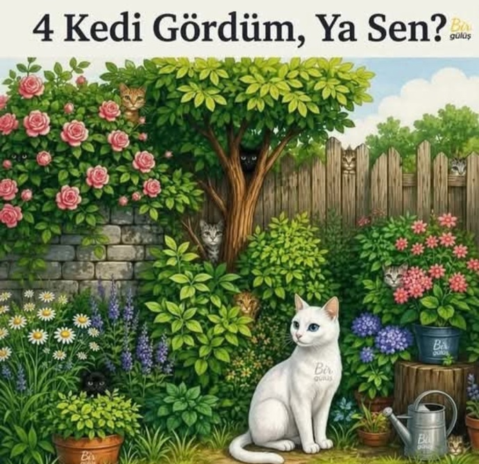 Gözüne Güvenen Gelsin! Bu Resimde Kaç Kedi Var? (Ben Sayarken Kör oldum)?