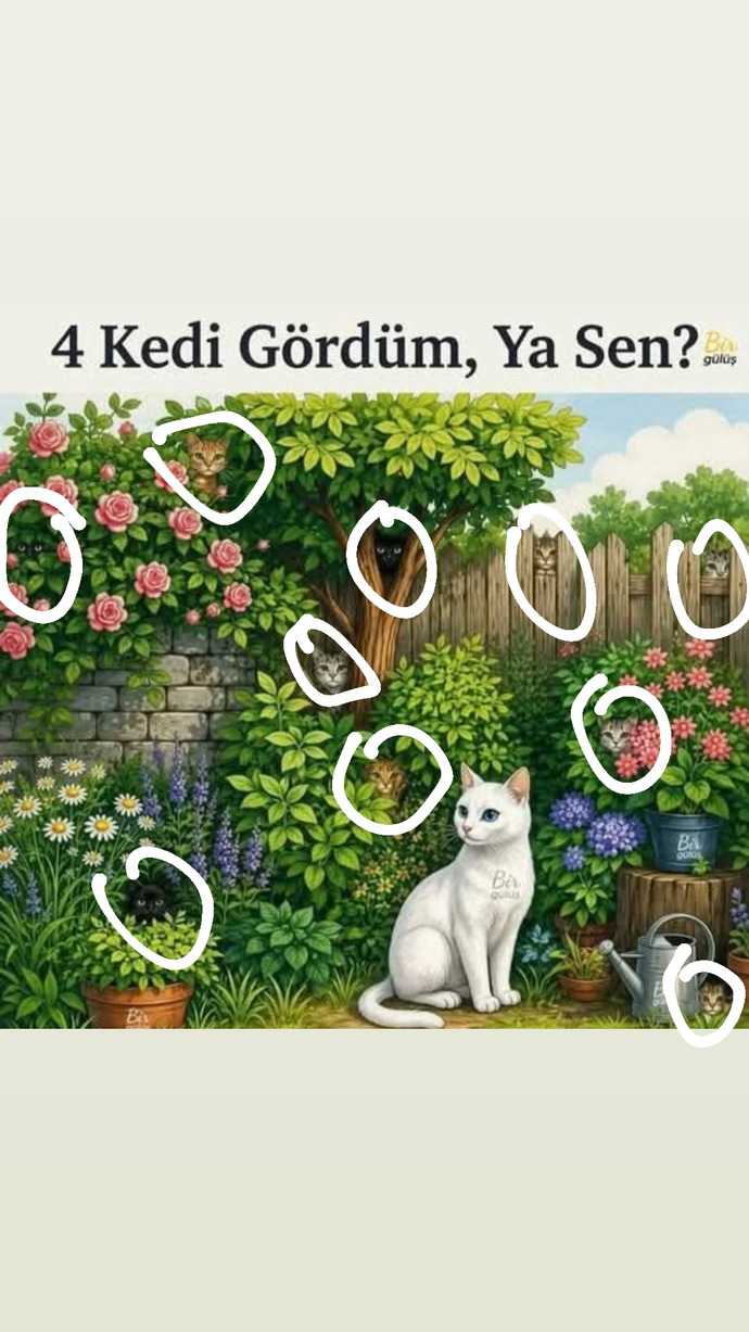 Gözüne Güvenen Gelsin! Bu Resimde Kaç Kedi Var? (Ben Sayarken Kör oldum)?