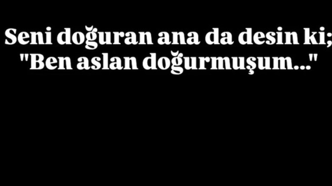 Var mı hayatınızda böyle diyeceğiniz aslanlar?