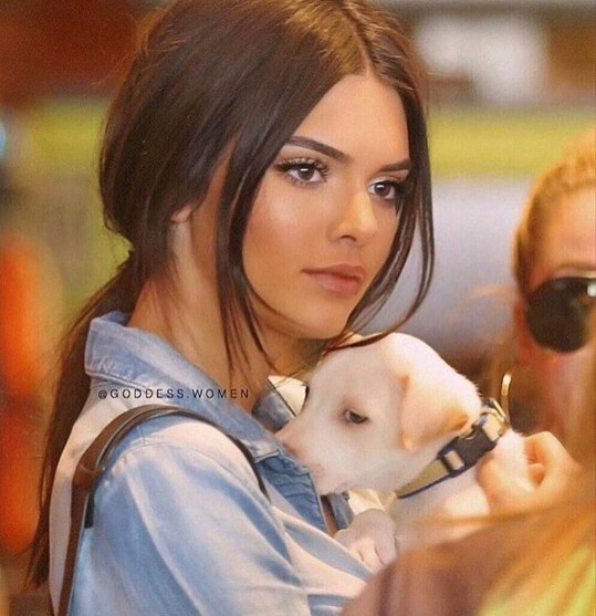 Köpek 🐶 gezdirmek dünyanın en basit aktivitesi midir?