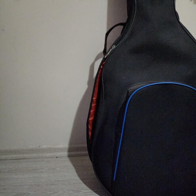 Herhangi bir enstruman çalabiliyor musunuz?