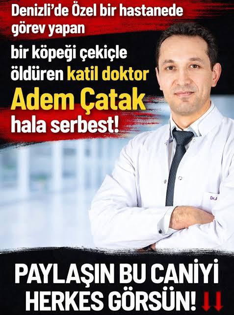 Denizlide Dr Adem Çatak Bir köpeği çekiçle öldürmüş ve küçük bir kızın parmaklarını kırmış duydunuz mu?