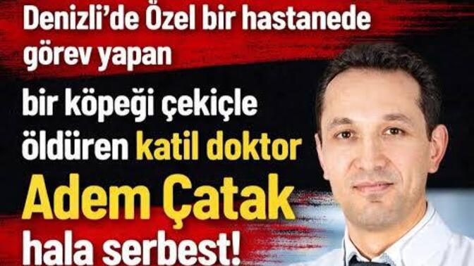 Denizli'de Dr Adem Çatak Bir köpeği çekiçle öldürmüş ve küçük bir kızın parmaklarını kırmış duydunuz mu?