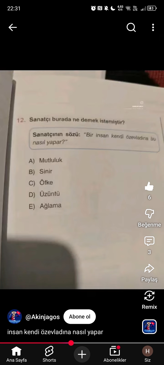 Sizce bu resimde anlatılmak istenen duygu nedir?