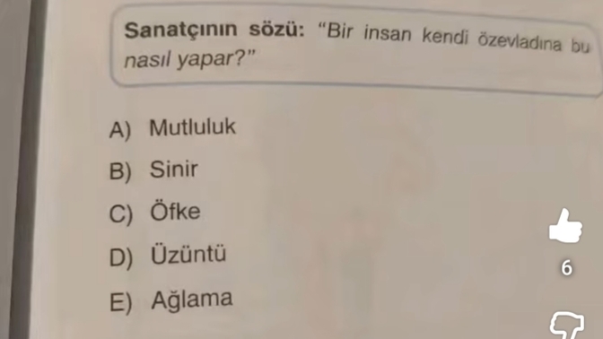Sizce bu resimde anlatılmak istenen duygu nedir?