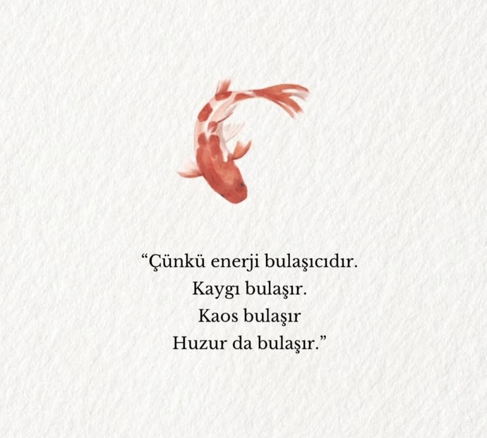 Yaaa bak gördün mü, öyle işte 😌🙇♀️?