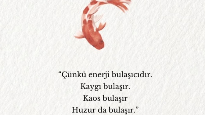 Yaaa bak gördün mü, öyle işte 😌🙇‍♀️?