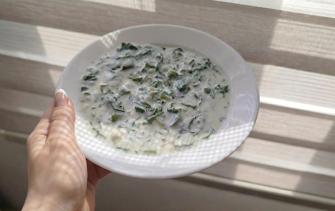 En sevdiğiniz yoğurtlu meze veya soğuk salata hangisi, yoğurtlu semizotu sever misiniz?