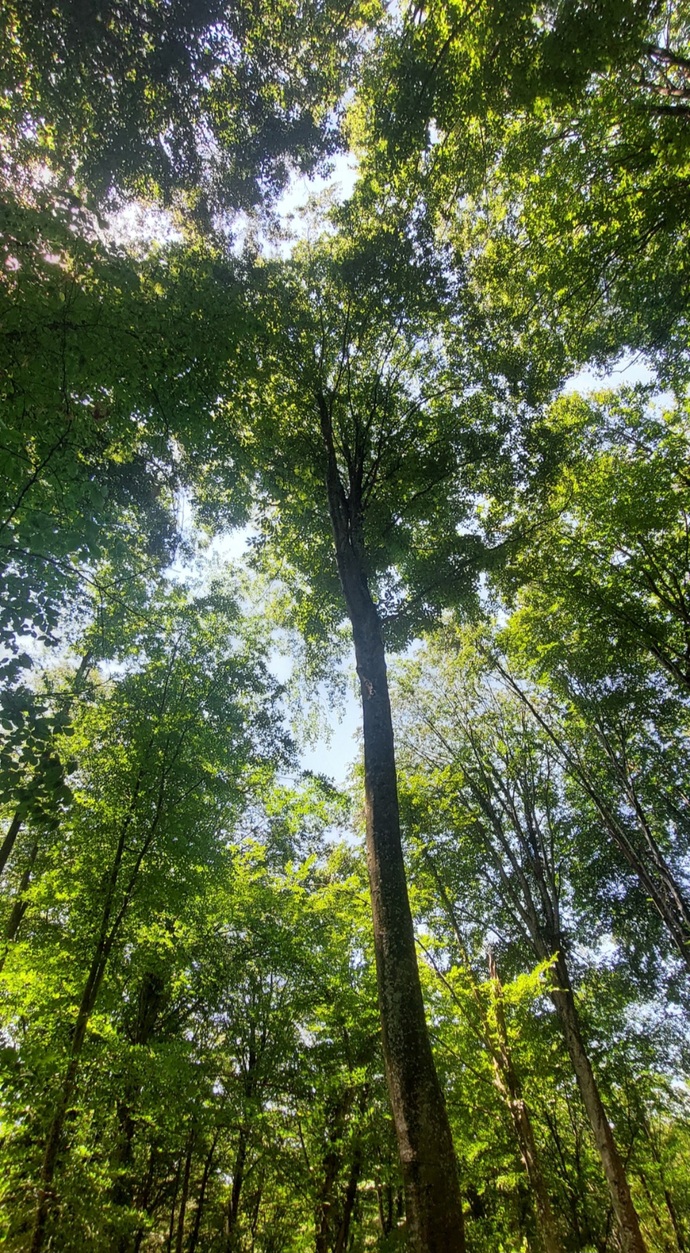 Fotoğraf çekmeyi sever misin, yoksa anı yaşamayı mı tercih edersin?