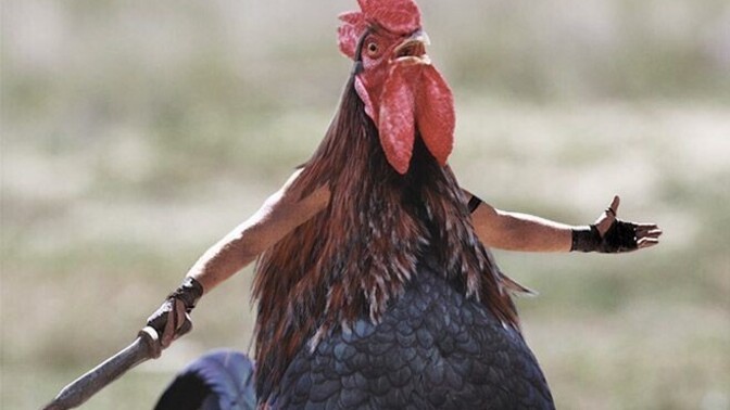 Herhangi bir hayvanın saldırısına uğradın mı?