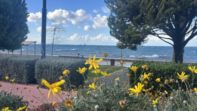 Bulunduğunuz şehre gelseydim bana ne ısmarlardınız?