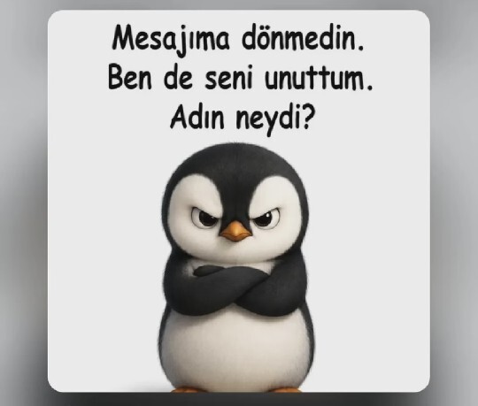 Sizi unutanı, siz de unutur musunuz?