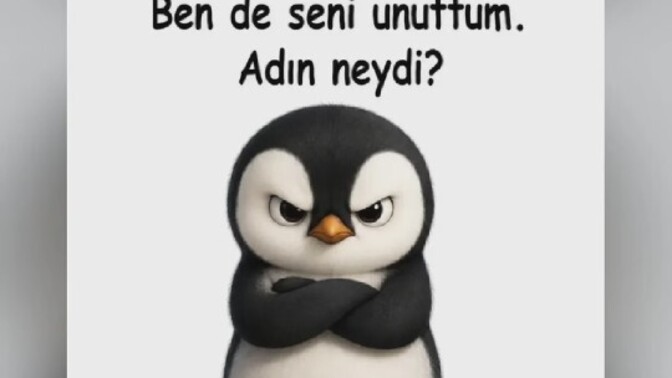 Sizi unutanı, siz de unutur musunuz?