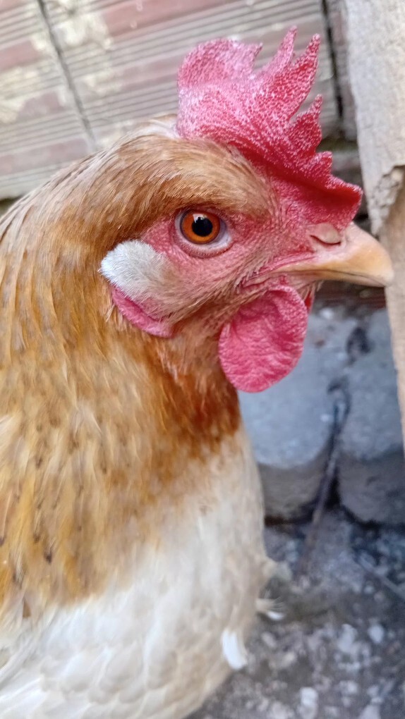 Bende seni çok sevmiştim neden beni bırakıp gittin dediğiniz oldumu?
