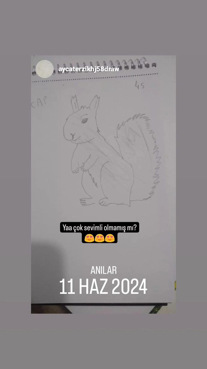 ÇÇizerim ben ya siz?
