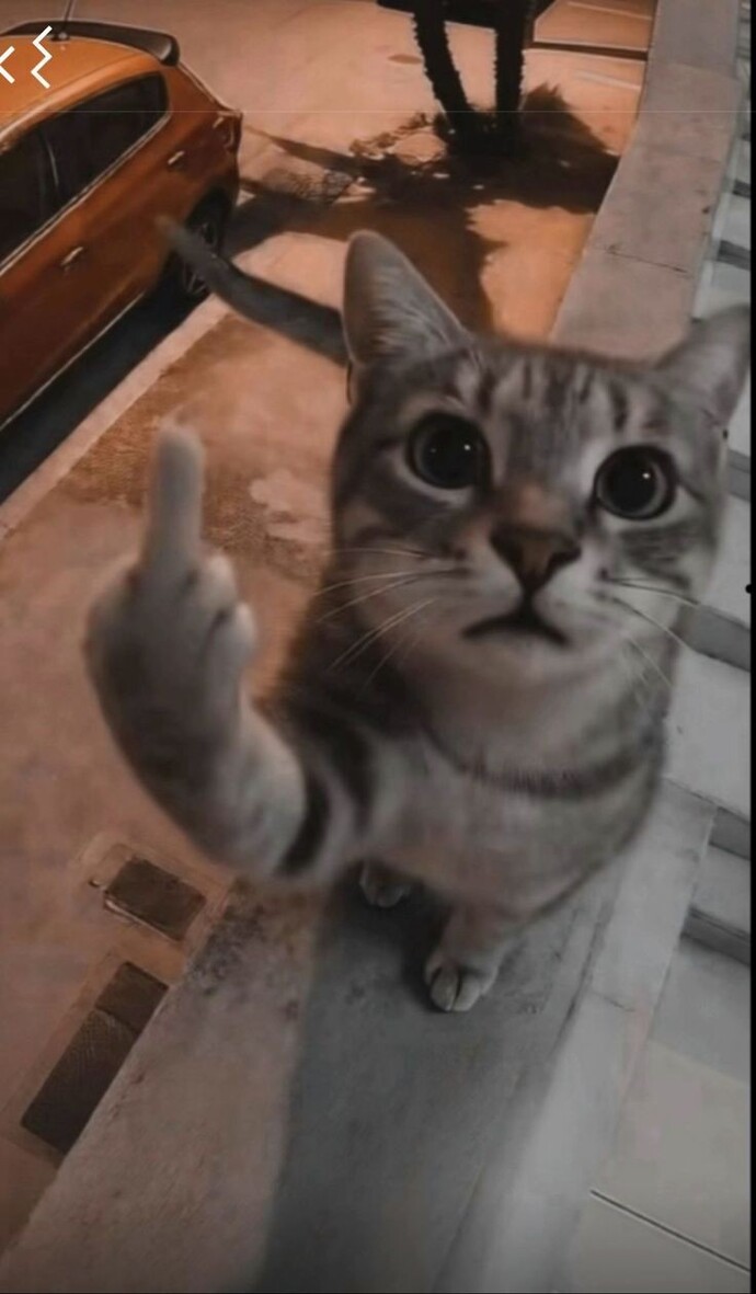 Selam gencolaaarr duvar kağıdınızda ne var atın bakayım?