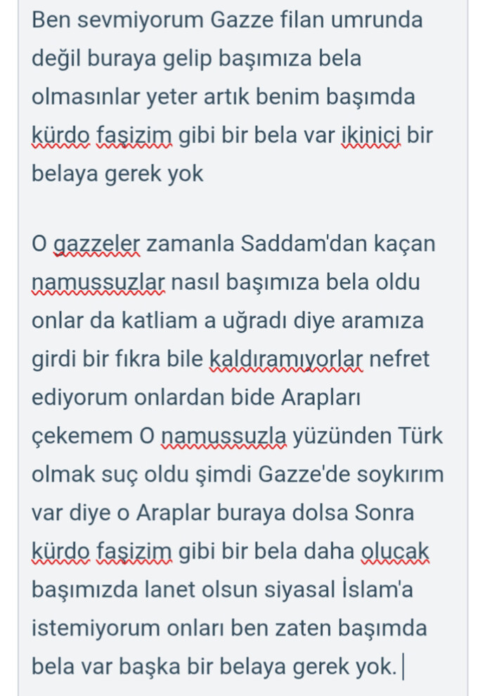 Arapları seviyormusunuz?