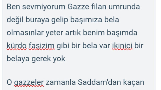 Arapları seviyormusunuz?