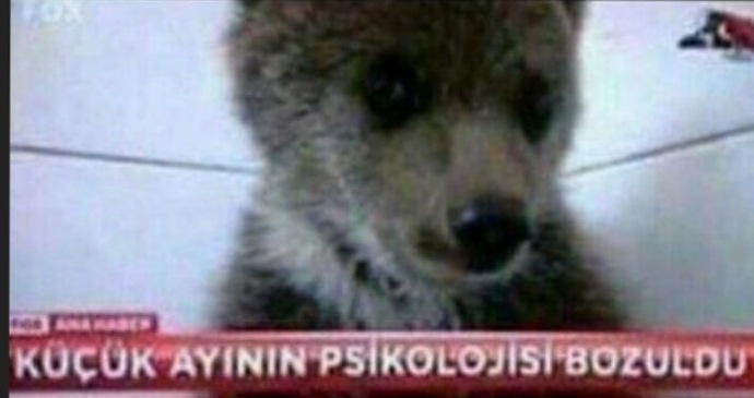 Size söylenen sözlere hemen inanır mısınız?