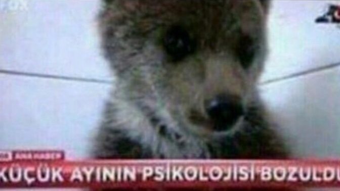 Size söylenen sözlere hemen inanır mısınız?
