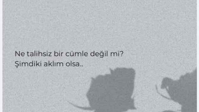 Şimdiki aklınız olsa?