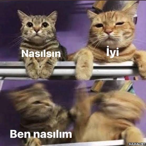 Anlık mod 