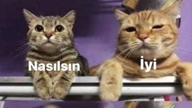 Nasılsın diye soranınız var mı?