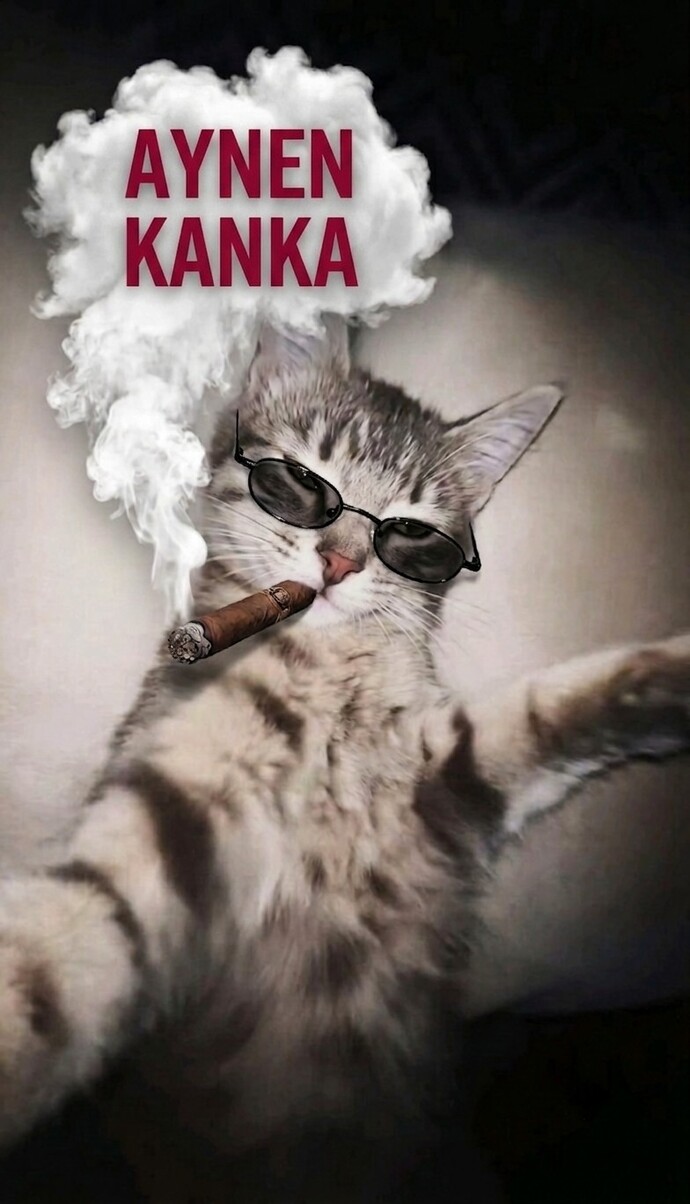 Şeyh saide vatan haini değil diyen biriyle karşılaştım. Çok garip değil mi?