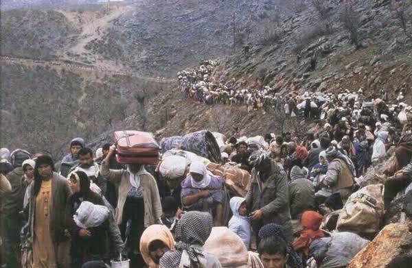 Gazze ve arapları seviyormusunuz?