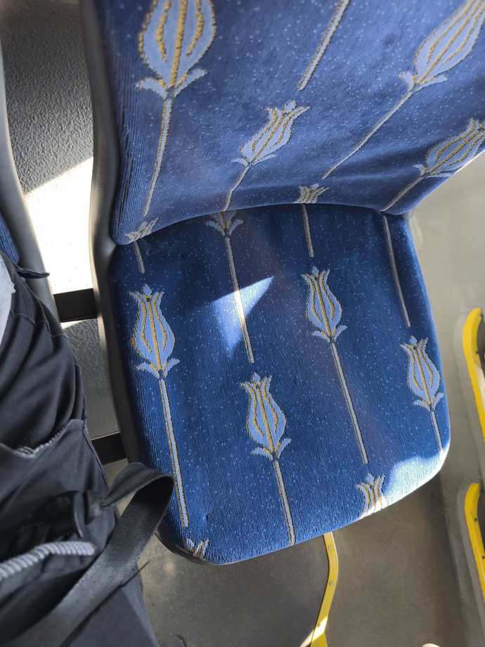 Toplu taşımada kimse yanımda oturmuyor, hep yapayalnız hissetmem normal mi?