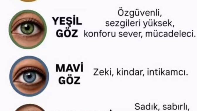Sizin Göz renginiz Hangisi?
