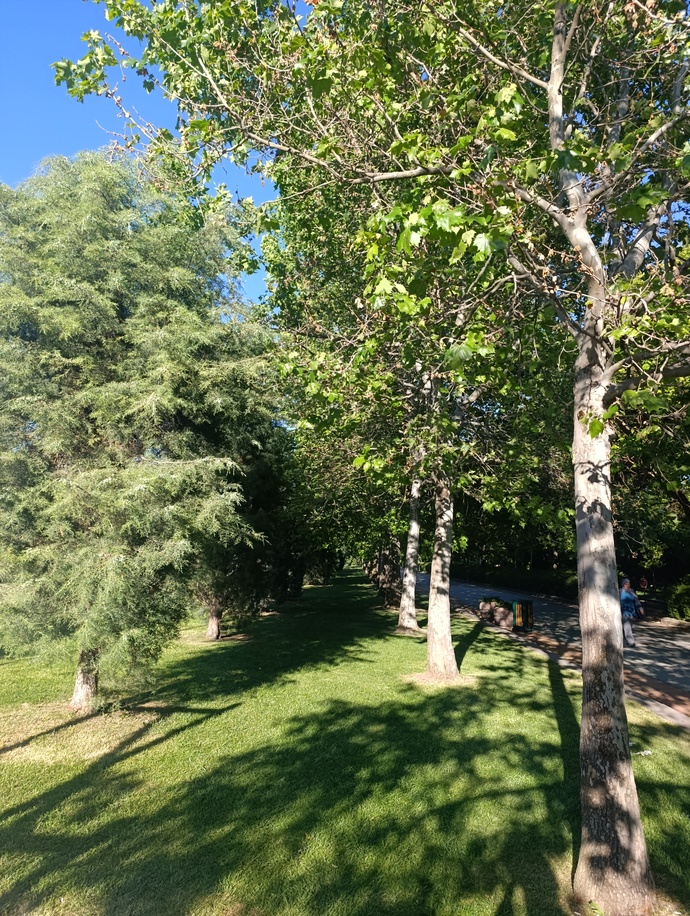 Ormanda iki yol vardı.. az kullanılanını seçtim.. orayı da rantta açmışlar :))