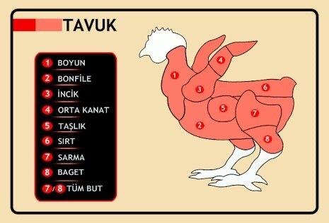 Tavuğun en çok neresini seversin?