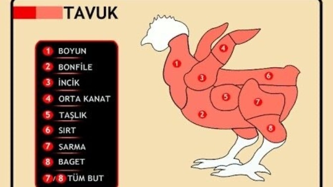 Tavuğun en çok neresini seversin?