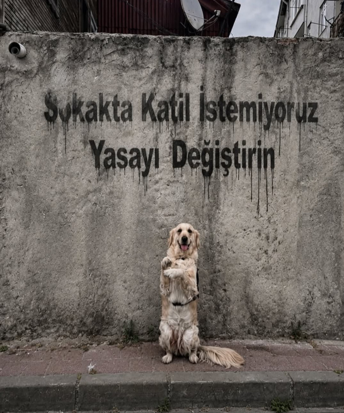 Bu iki yüzlülük ne zaman bitecek?