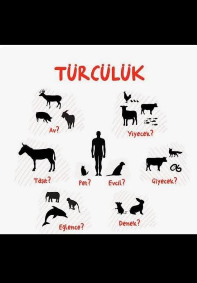 Bu iki yüzlülük ne zaman bitecek?