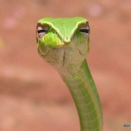 Sizce eyelinerim bu şekilde iyi olmuş mu?