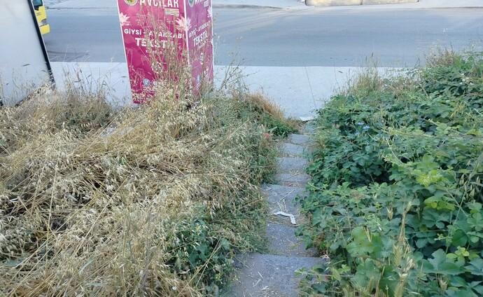 Sen uyandıktan sonra ne yapıyorsun, nereye gidiyorsun?