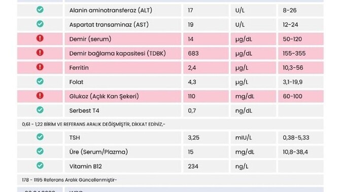 Ferritin kaç olursa düşük sayılır, benim ferritinim çok mu düşük?