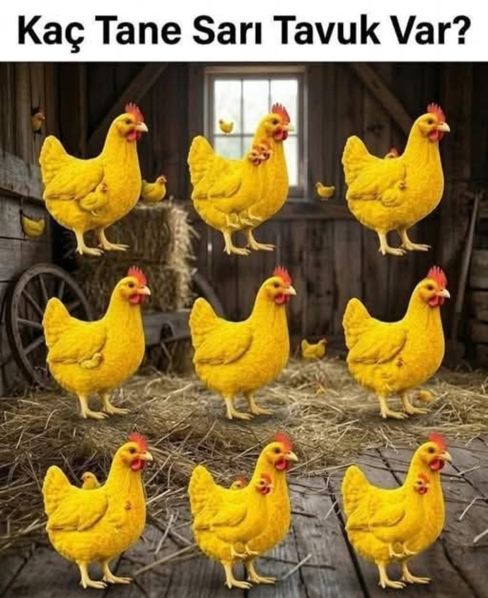 Sarı tavukları 10 saniyede sayabilecek bir zeka küpü var mı?